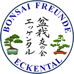 Bonsaifreunde Eckental e.V.